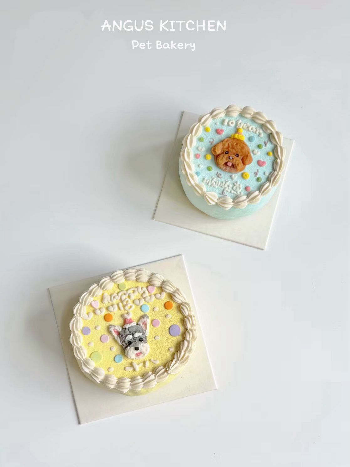 Signature Cake - Puppy Photo Booth Cake